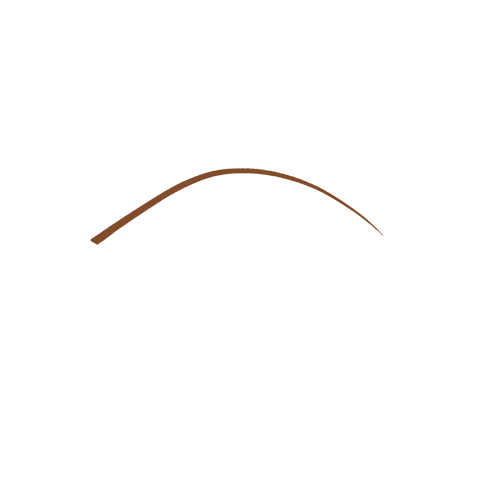 micro precision eyebrow pencil - 03 Brunettes