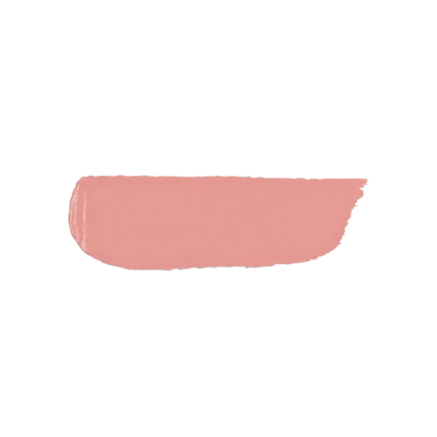 velvet passion matte lipstick - 326 Natural Rose