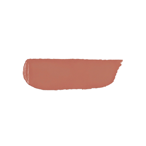 velvet passion matte lipstick - 341 Orange Ochre