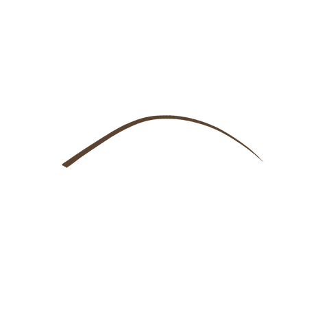 micro precision eyebrow pencil - 05 Deep Brunettes