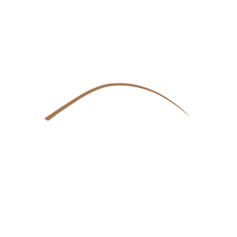 micro precision eyebrow pencil - 02 Blondes & Redhaireds