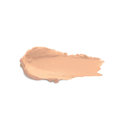 universal stick concealer - 09 Dark Neutral