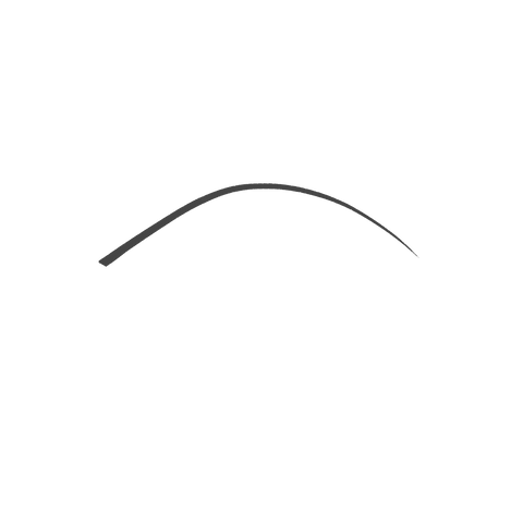 micro precision eyebrow pencil - 06 Blackhaired